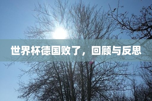 世界杯德国败了，回顾与反思漯河市盈旭机械设备有限公司