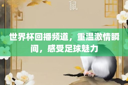 世界杯回播频道，重温激情瞬间，感受足球魅力