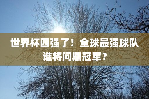 世界杯四强了！全球最强球队谁将问鼎冠军？