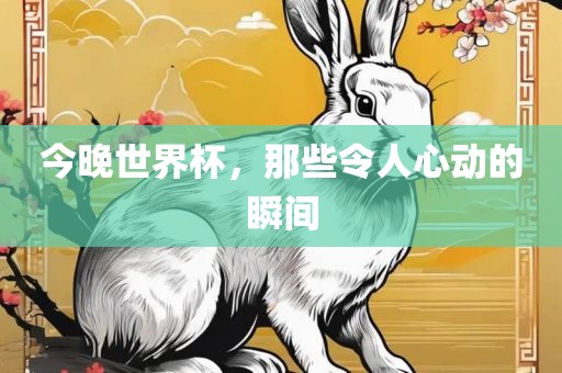 今晚世界杯，那些令人心动的瞬间