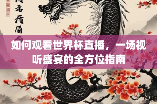 如何观看世界杯直播，一场视听盛宴的全方位指南
