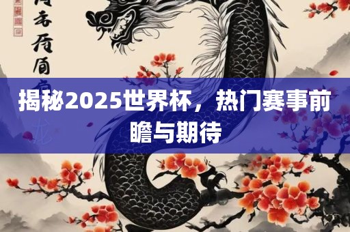 揭秘2025世界杯，热门赛事前瞻与期待漯河市盈旭机械设备有限公司