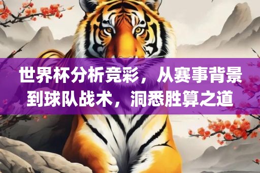 世界杯分析竞彩，从赛事背景到球队战术，洞悉胜算之道漯河市盈旭机械设备有限公司