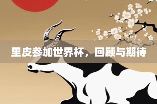 里皮参加世界杯，回顾与期待