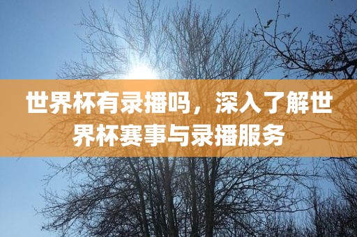 世界杯有录播吗，深入了解世界杯赛事与录播服务