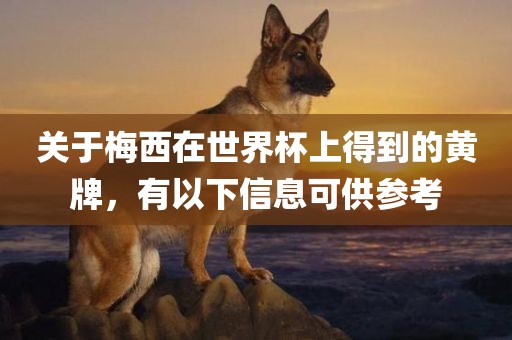 漯河市盈旭机械设备有限公司关于梅西在世界杯上得到的黄牌，有以下信息可供参考