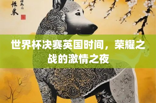 世界杯决赛英国时间，荣耀之战的激情之夜