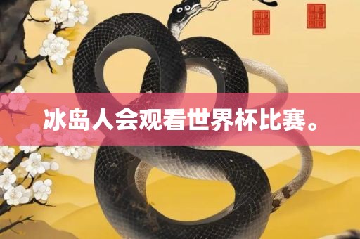 冰岛人会观看世界杯比赛。
