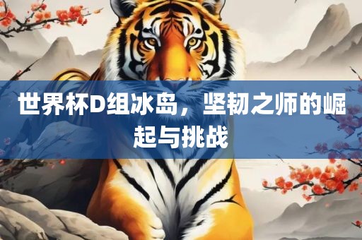世界杯D组冰岛，坚韧之师的崛起与挑战