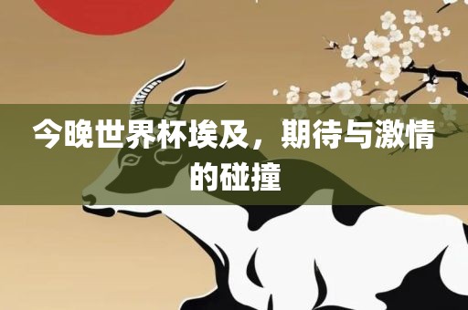 今晚世界杯埃及，期待与激情的碰撞漯河市盈旭机械设备有限公司