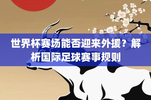 世界杯赛场能否迎来外援？解析国际足球赛事漯河市盈旭机械设备有限公司规则