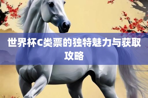 世界杯C类票的独特魅力与获取攻略漯河市盈旭机械设备有限公司