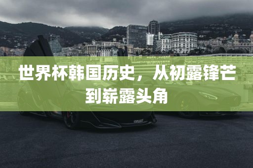 世界杯韩国历史，从初露锋芒到崭露头角漯河市盈旭机械设备有限公司