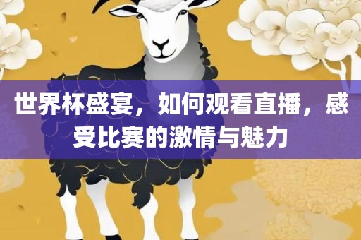 世界杯盛宴，如何观看直播，感受比赛的激情与魅力