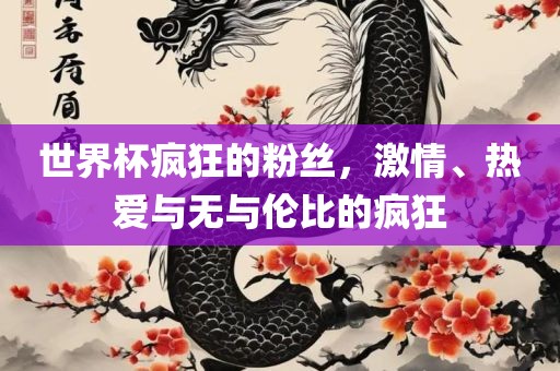 世界杯疯狂的粉丝，激情、热爱与无与伦比的疯狂漯河市盈旭机械设备有限公司