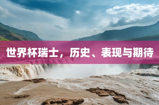 世界杯瑞士，历史、表现与期待