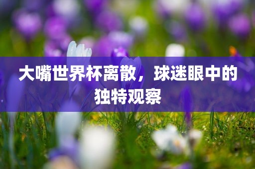 大嘴世界杯离散，球迷眼中的独特观察漯河市盈旭机械设备有限公司