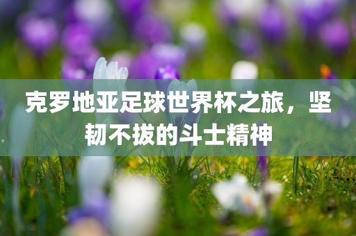 克罗地亚足球世界杯之旅，坚韧不拔的斗士精神