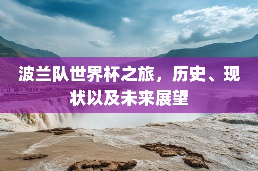 波兰队世界杯之旅，历史、现状以及未来展望