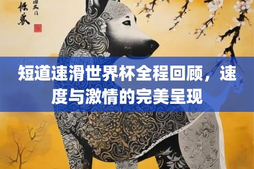 短道速滑世界杯全程回顾，速度与激情的完美呈现