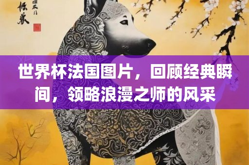 世界杯法国图片，回顾经典瞬间，领略浪漫之师的风采