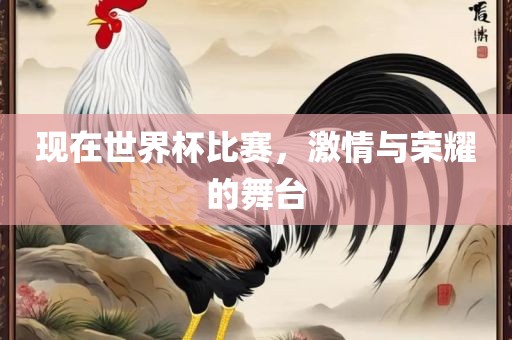 现在世界杯比赛，激情与荣耀的舞台