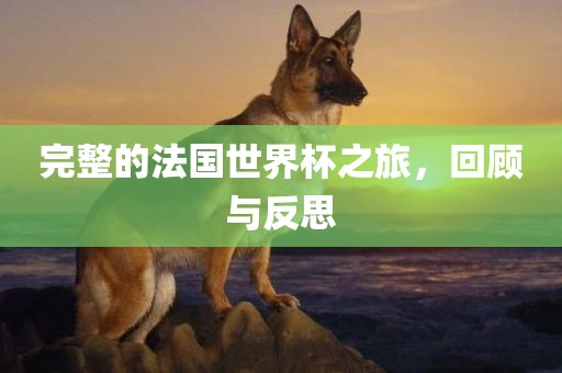 完整的法国世界杯之旅，回顾与反思