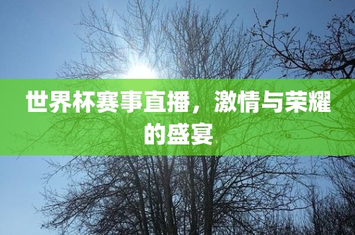 世界杯赛事直播，激情与荣耀的盛宴