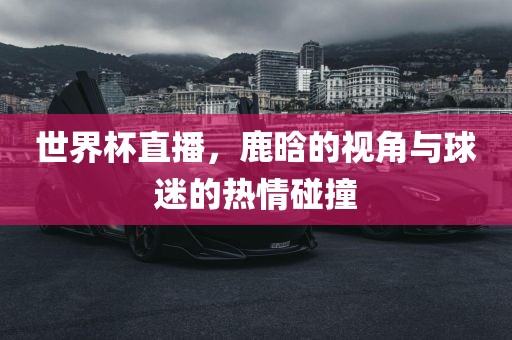 世界杯直播，鹿晗的视角与球迷的热情碰撞漯河市盈旭机械设备有限公司