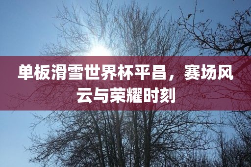 单板滑雪世界杯平昌，赛场风云与荣耀时刻漯河市盈旭机械设备有限公司