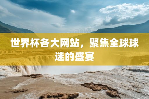 世界杯各大网站，聚焦全球球迷的盛宴