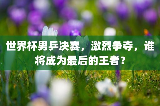 世界杯男乒决赛，激烈争夺，谁将成为最后的王者？漯河市盈旭机械设备有限公司