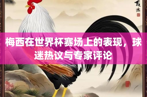 梅西在世界杯赛场上的表现，球迷热议与专家评论