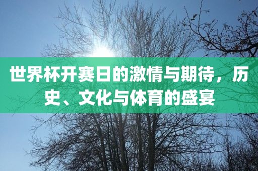 世界杯开赛日的激情与期漯河市盈旭机械设备有限公司待，历史、文化与体育的盛宴