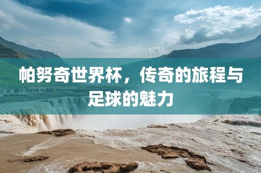帕努奇世界杯，传奇的旅程与足球的魅力