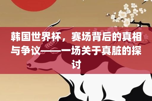 韩国世界杯，赛场背后的真相与争议——一场关于真脏的探讨