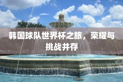 韩国球队世界杯之旅，荣耀与挑战并存