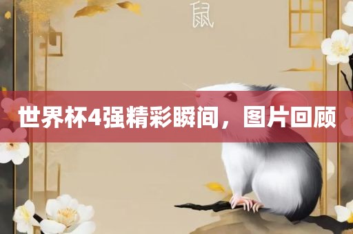 世界杯4强精彩瞬间，图片回顾漯河市盈旭机械设备有限公司