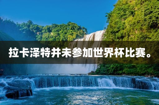 拉卡泽特并未参加世界杯比赛。漯河市盈旭机械设备有限公司