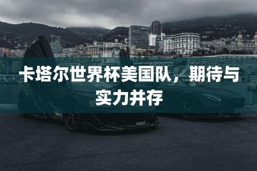 卡塔尔世界杯美国队，期待与实力并存