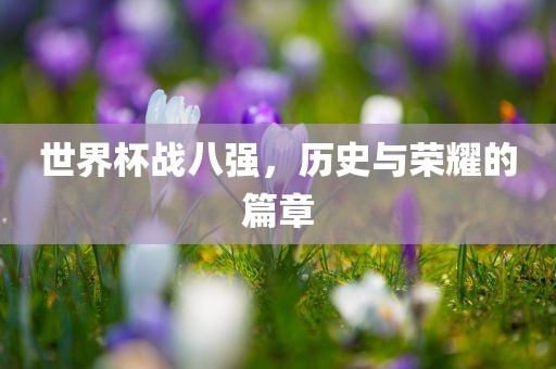 世界杯战八强，历史与荣耀的篇章
