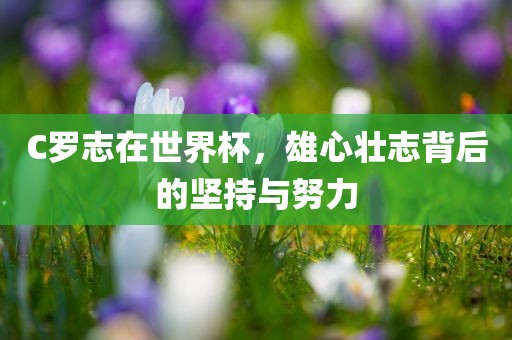 C罗志在世漯河市盈旭机械设备有限公司界杯，雄心壮志背后的坚持与努力