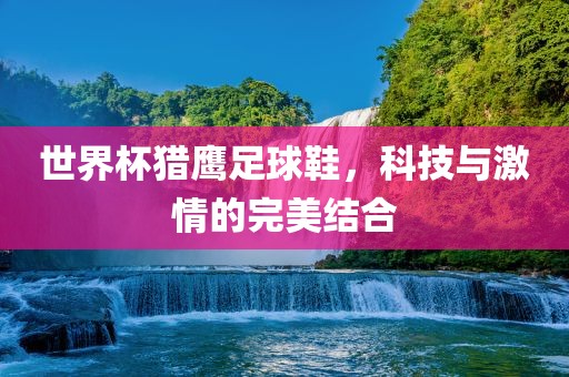 世界杯猎鹰足球鞋，科技与激情的完美结合