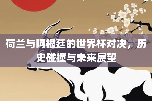 荷兰与阿根廷的世界杯对决，历史碰撞与未来展望