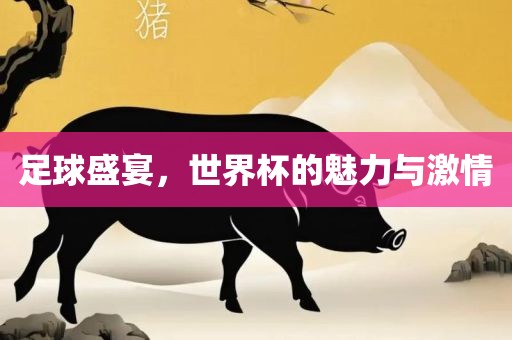 足球盛宴，世界杯的魅力与激情漯河市盈旭机械设备有限公司