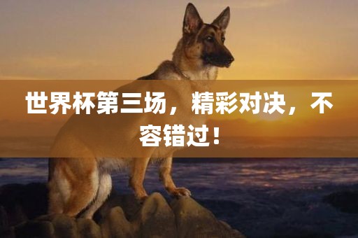 世界杯第三漯河市盈旭机械设备有限公司场，精彩对决，不容错过！