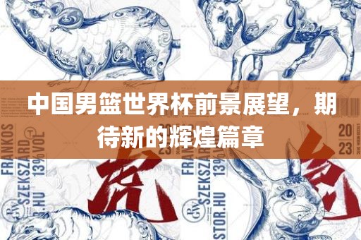 中国男篮世界杯前景展望，期待新的辉煌篇章漯河市盈旭机械设备有限公司