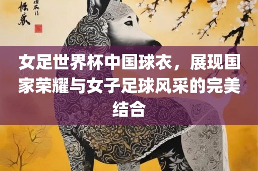 女足世界杯中国球衣，展现国家荣耀与女子足球风采的完美结合