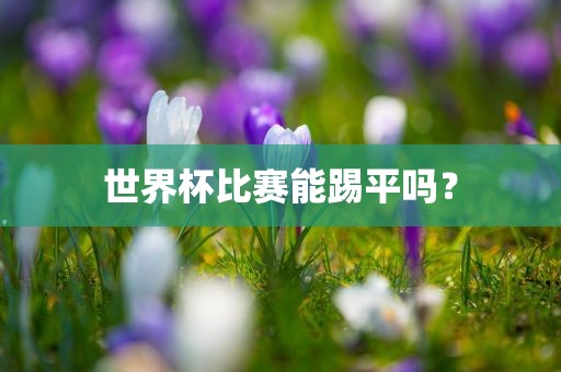 世界杯比赛能踢平吗？