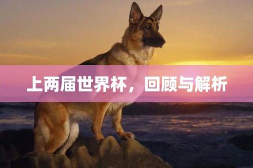 上两届世界杯，回顾与解析